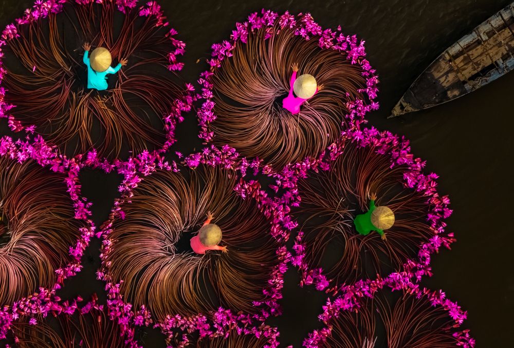 Photograph by Lê Huy Anh