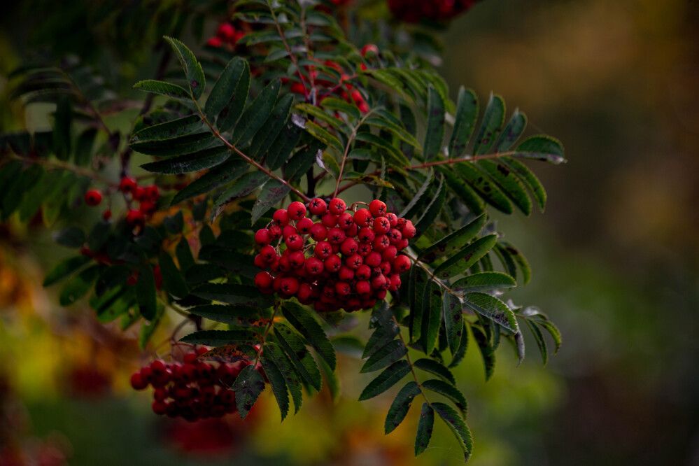 Photograph by Евгений Авдеев