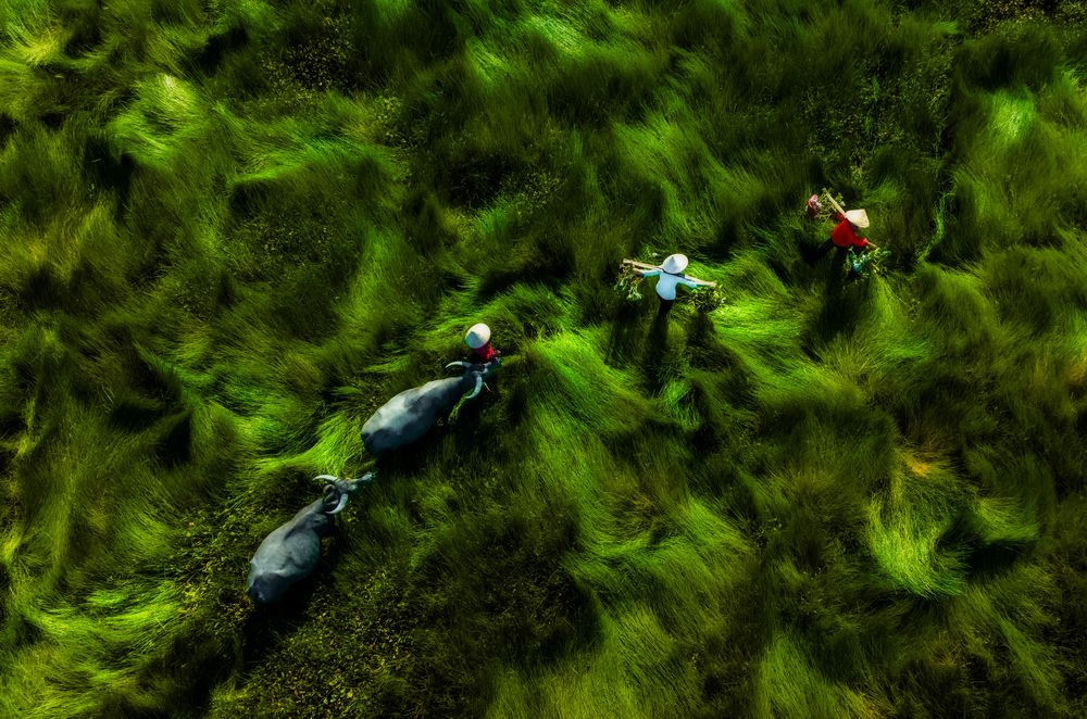 Photograph by Lê Huy Anh