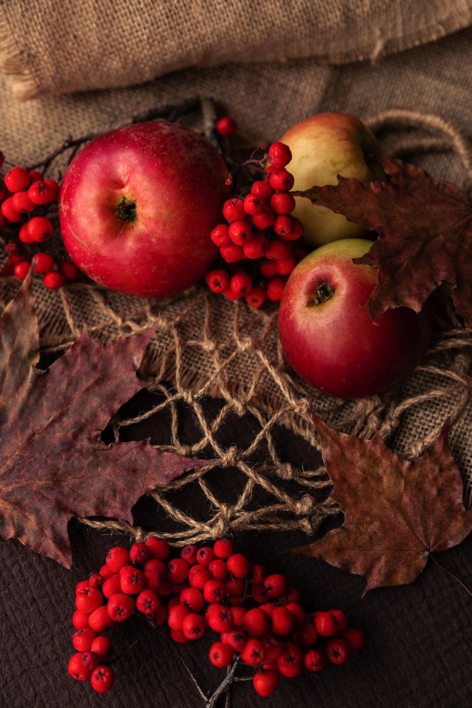 Фотография автора Альбина Кадочникова