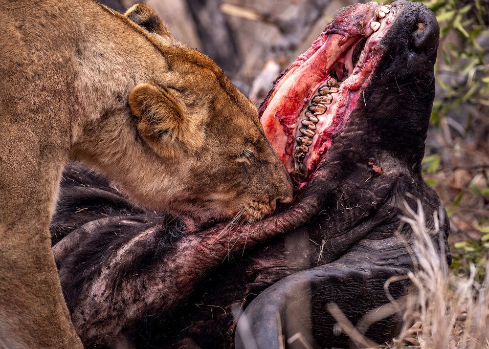 Photograph by Rose-Anne Reyes