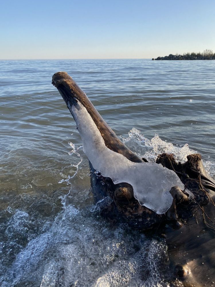 Photograph by Алиса Лукина