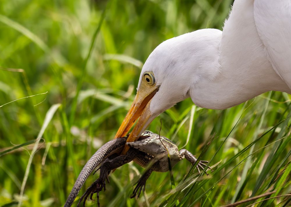 Photograph by Rose-Anne Reyes