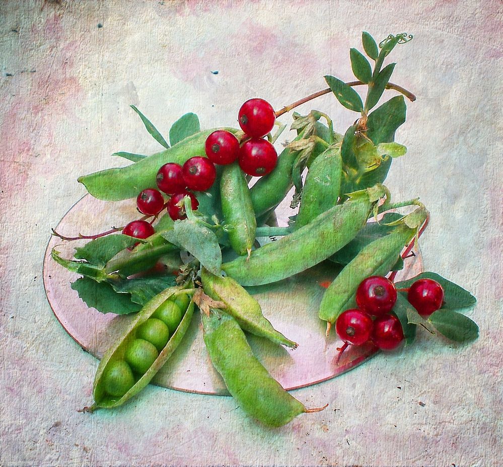 Photograph by Савоцкий Роман