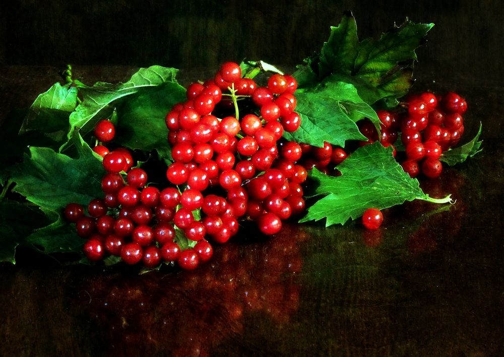 Photograph by Савоцкий Роман