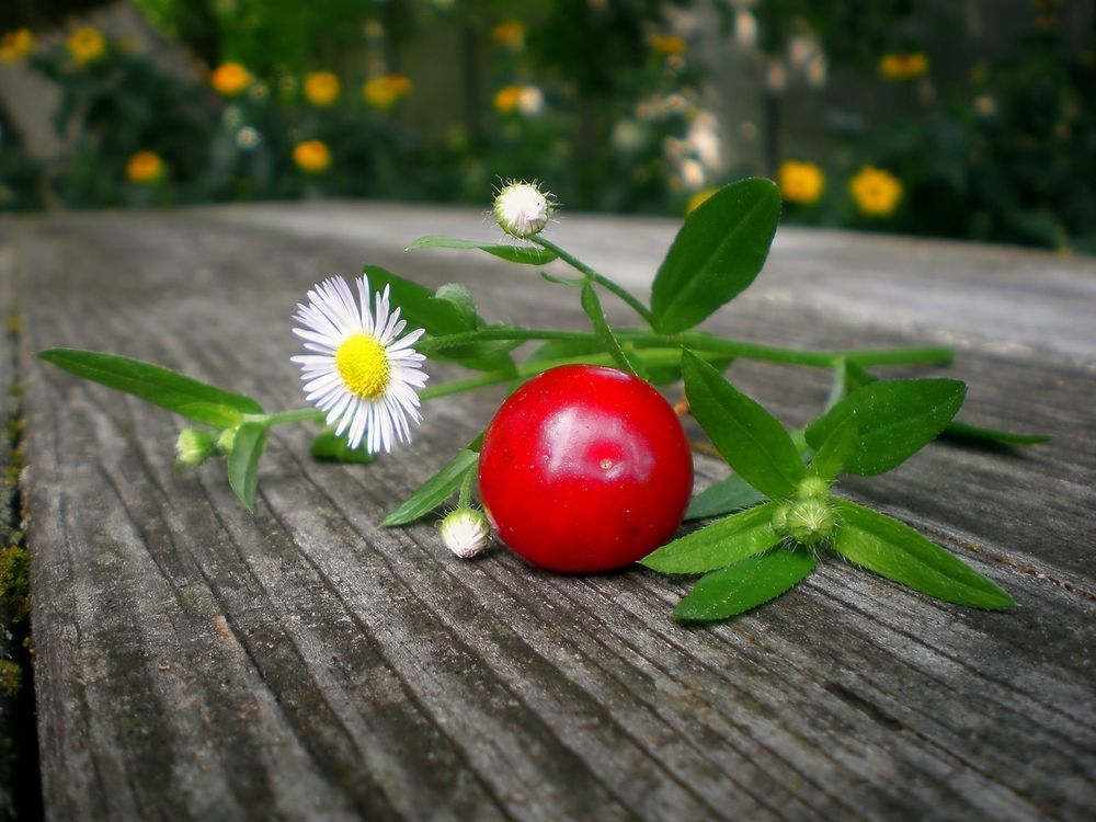 Фотография автора Роман Савоцкий