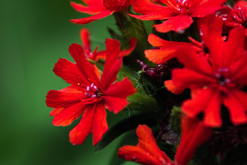 Photograph by Людмила Баймухаметова