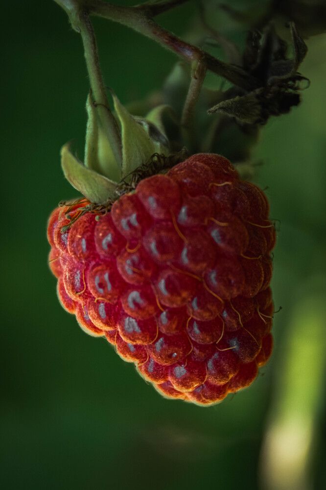 Photograph by Людмила Баймухаметова