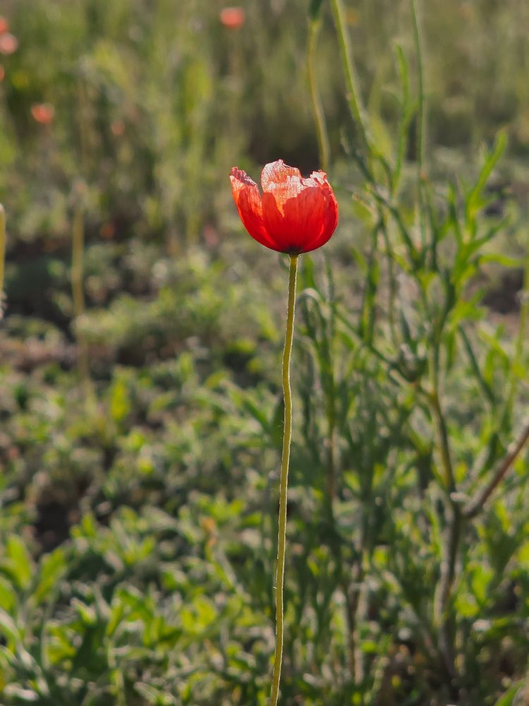 Photograph by Александра Воронина