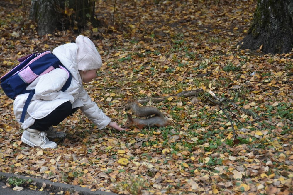 Photograph by Евгений Захаров