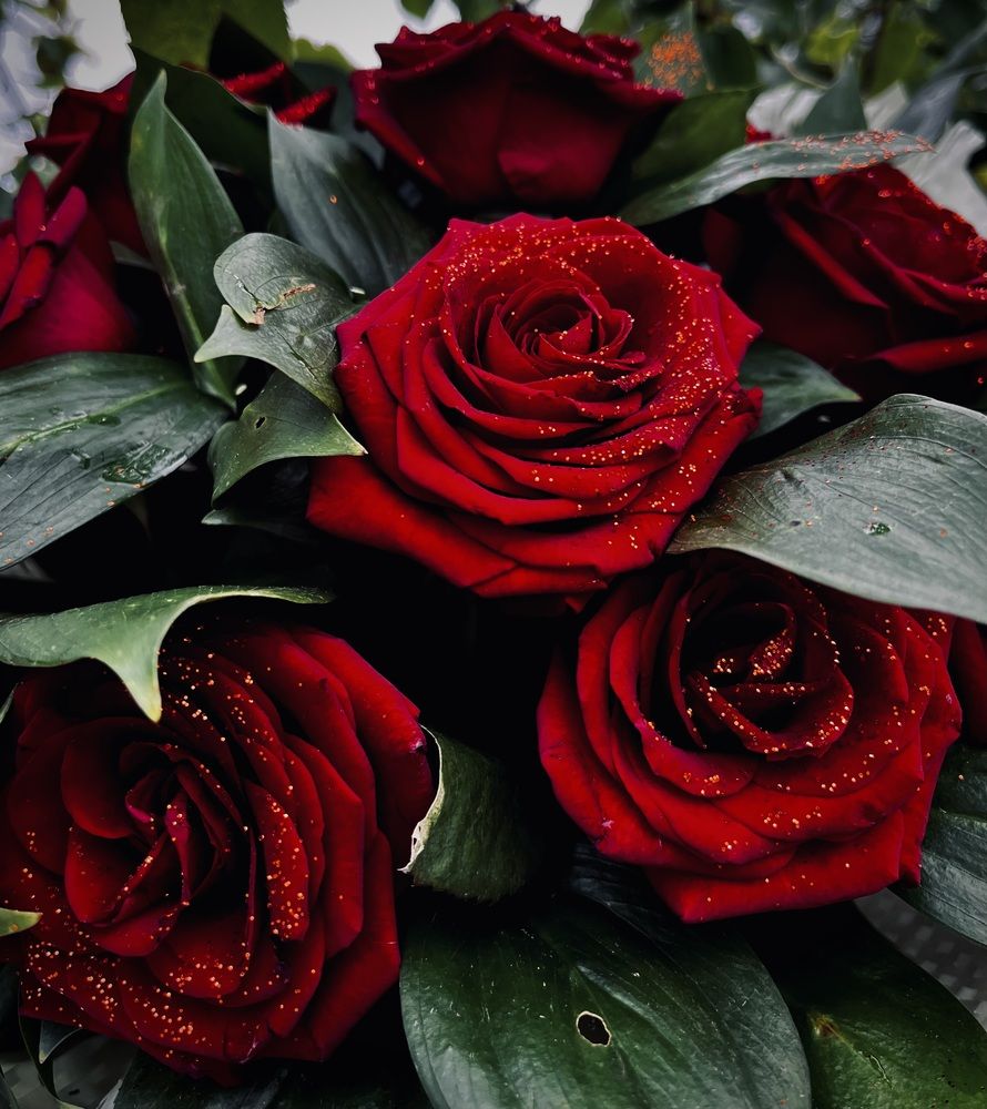 Photograph by Марина Козлова