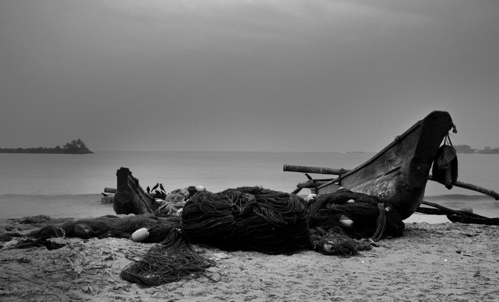 Photograph by Галина Ильясова