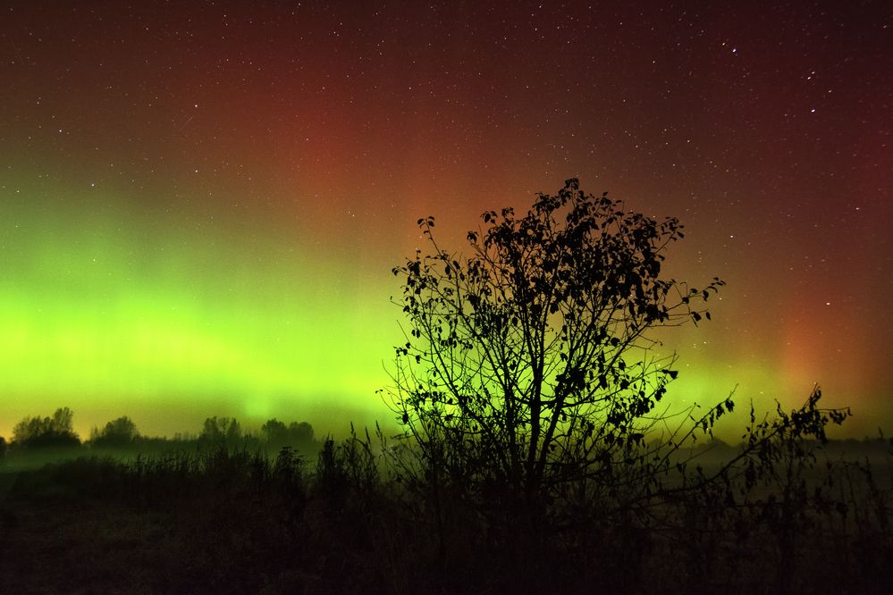 Photograph by Irina Kruk