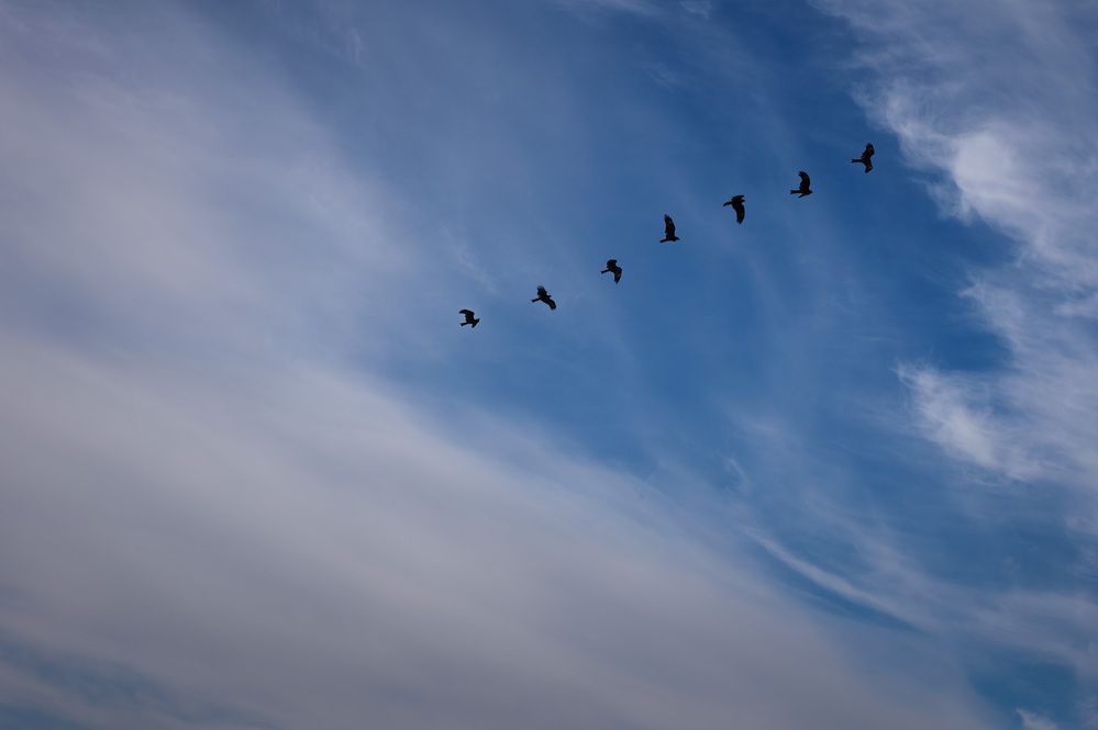 Photograph by Ирина Стоянкова