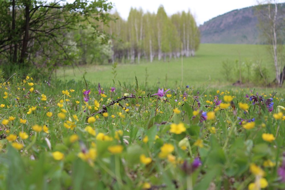 Photograph by Юлия