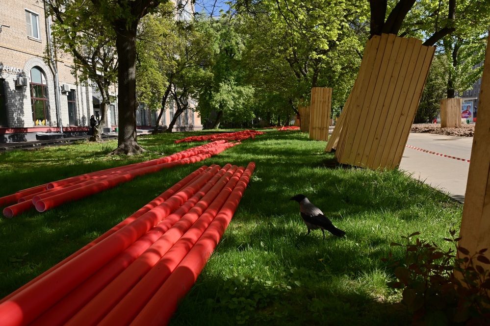 Photograph by Машевский Владимир