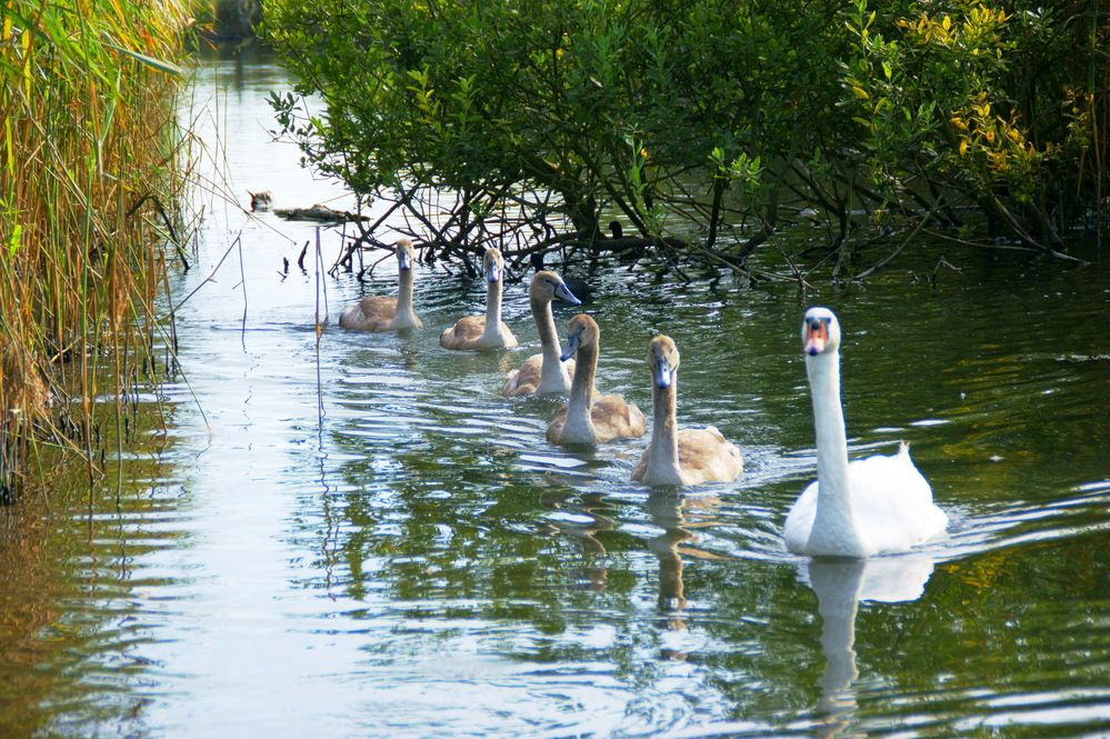 Фотография автора Sergej Roor