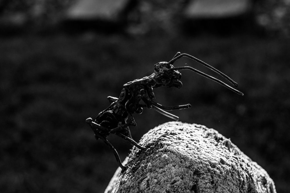 Photograph by Елена Берсенёва