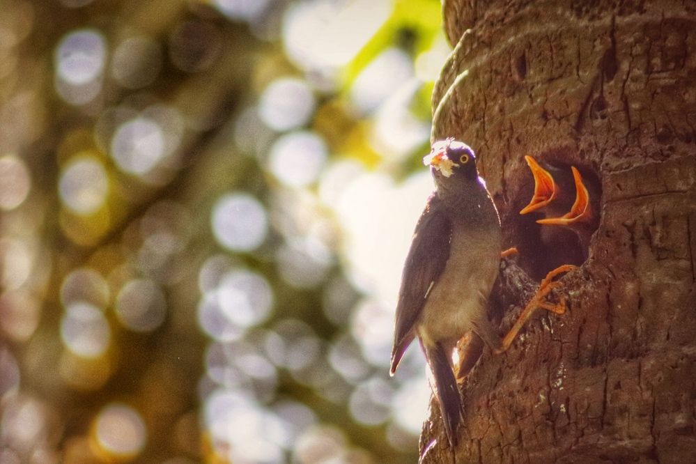 Photograph by Washiful Majid