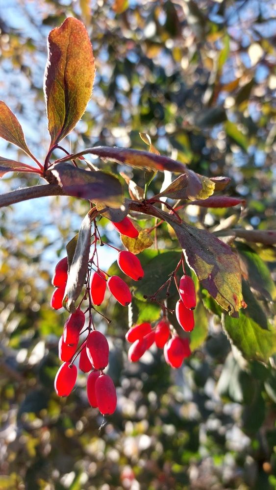 Photograph by Наталья Филянина