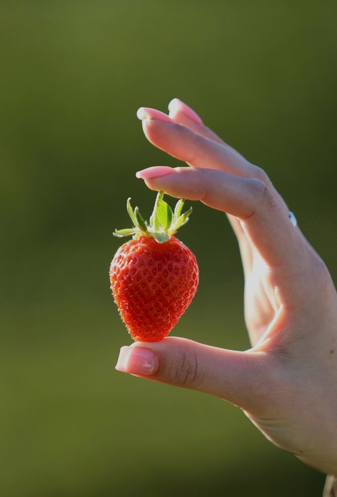 Фотография автора Ольга