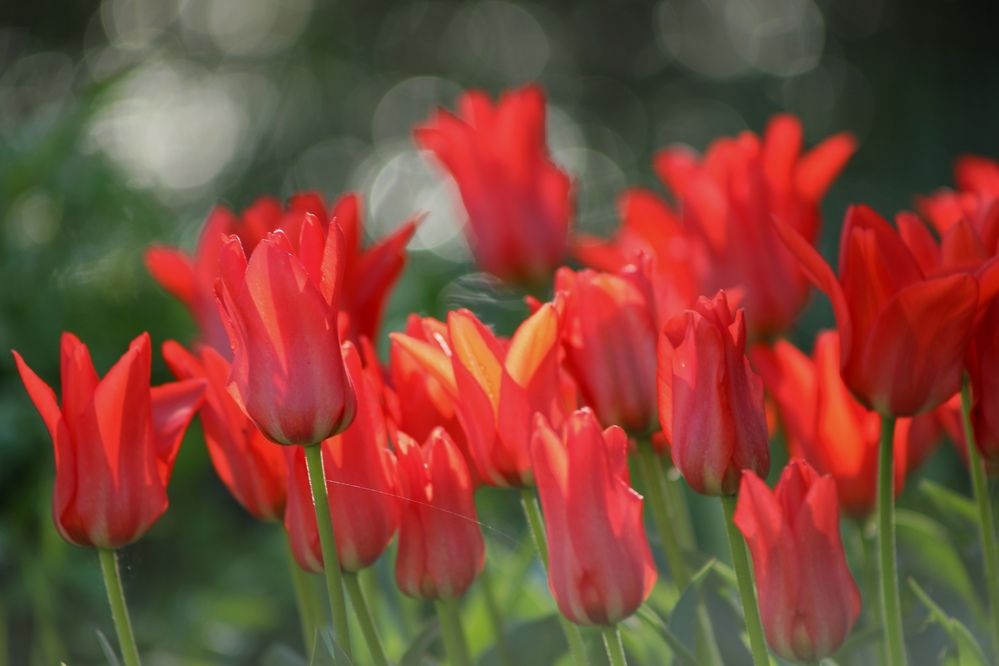 Фотография автора Ольга