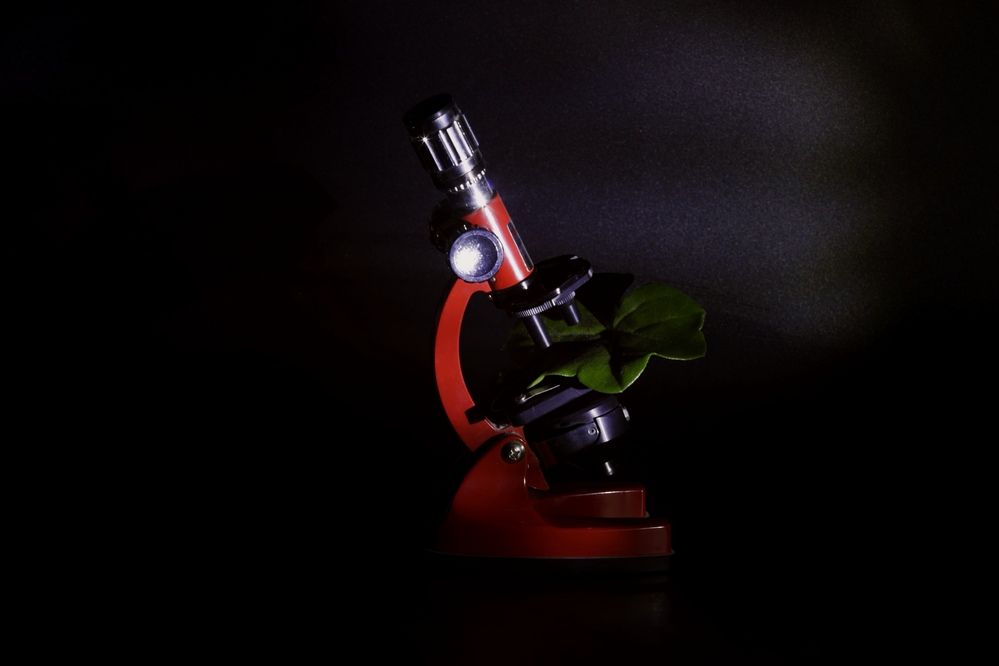 Фотография автора Ольга