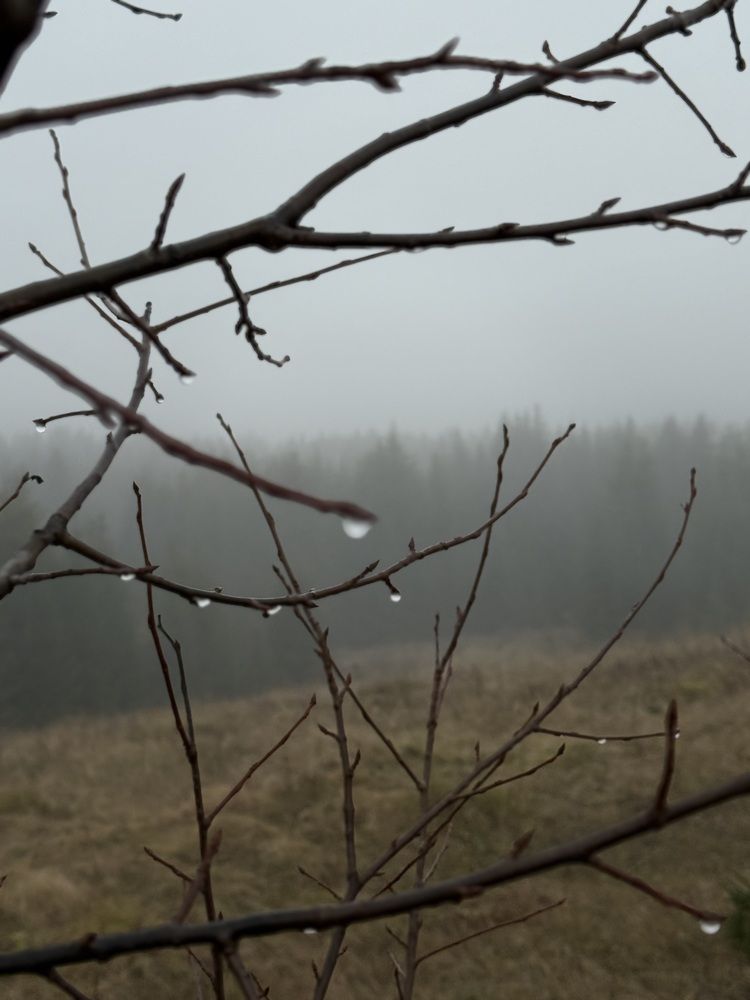 Photograph by Ольга Князева