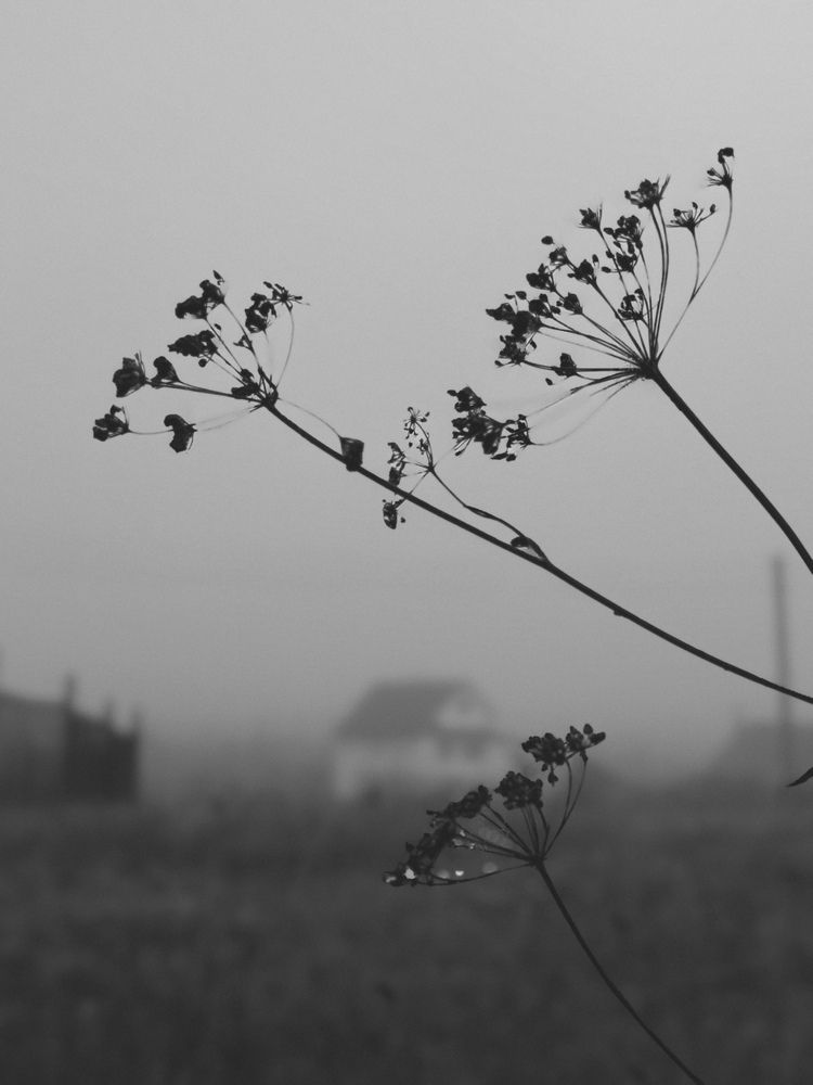 Photograph by Ольга Князева