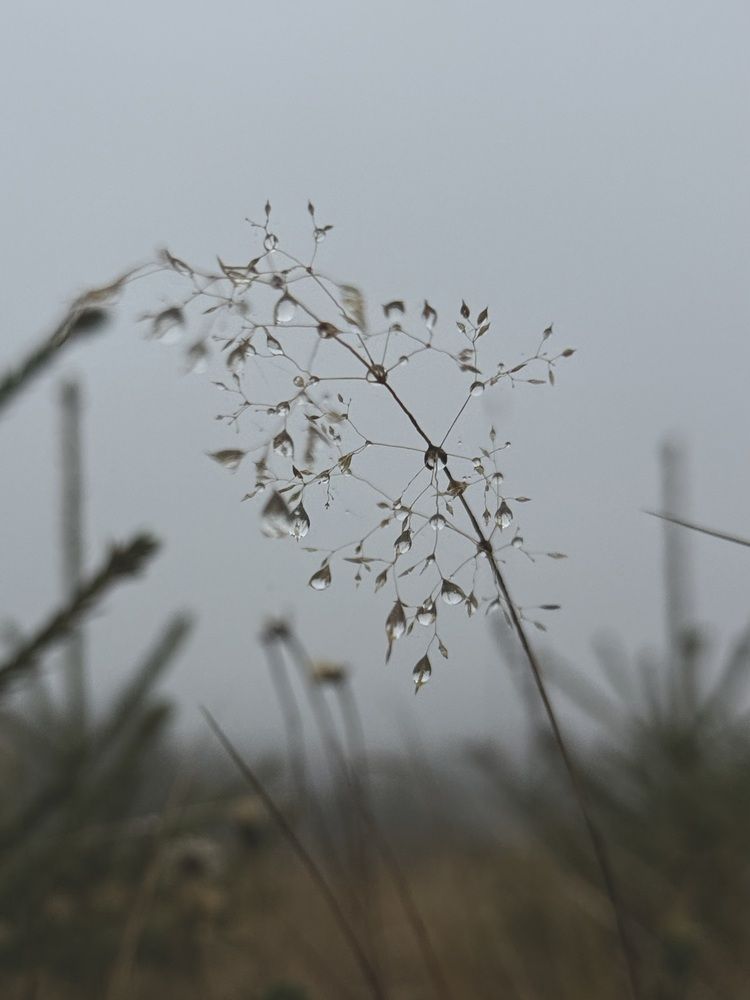 Photograph by Ольга Князева