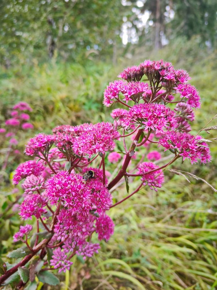 Photograph by Виталий Черепенькин
