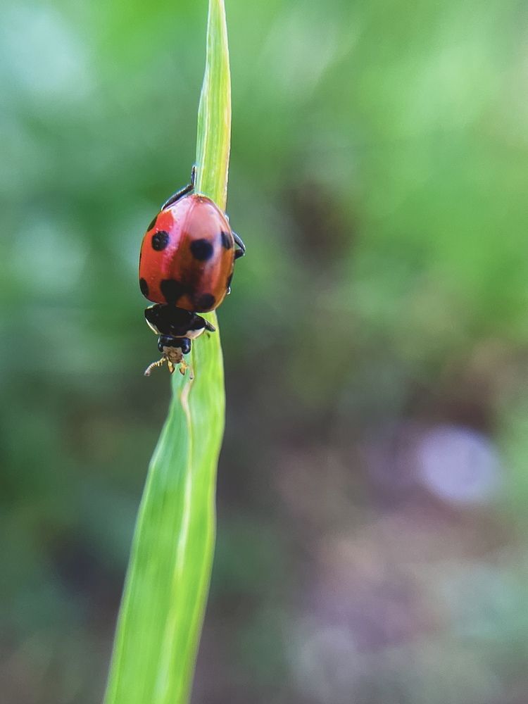 Фотография автора Анастасия