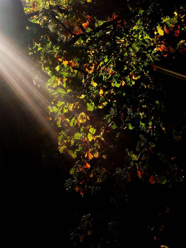 Photograph by Владимир Лобанов