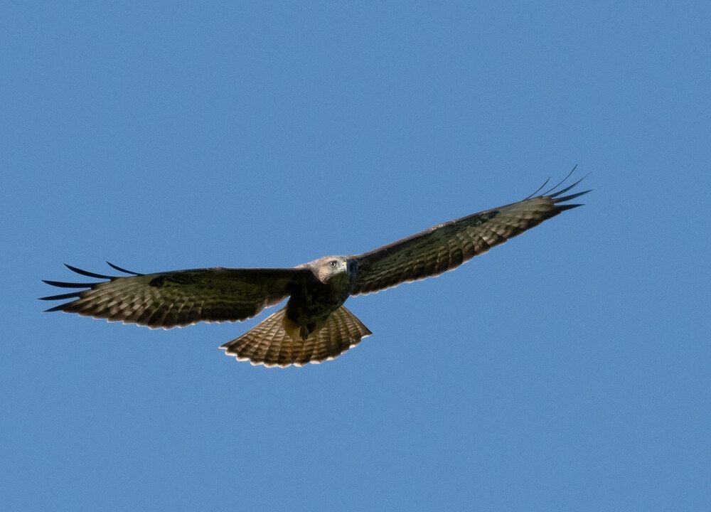 Photograph by Дмитрий Ткаченко