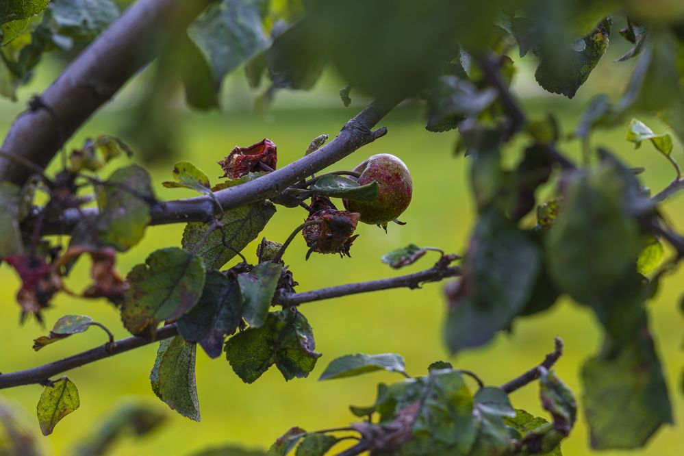 Фотография автора Вадим Копилец