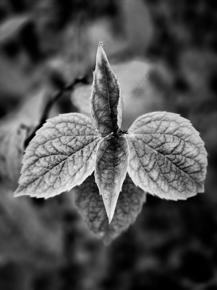 Photograph by Андрей Безгин