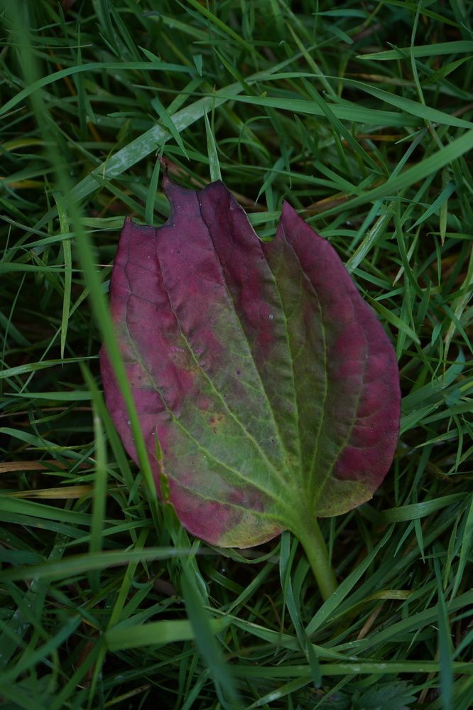 Photograph by Любовь Лунина