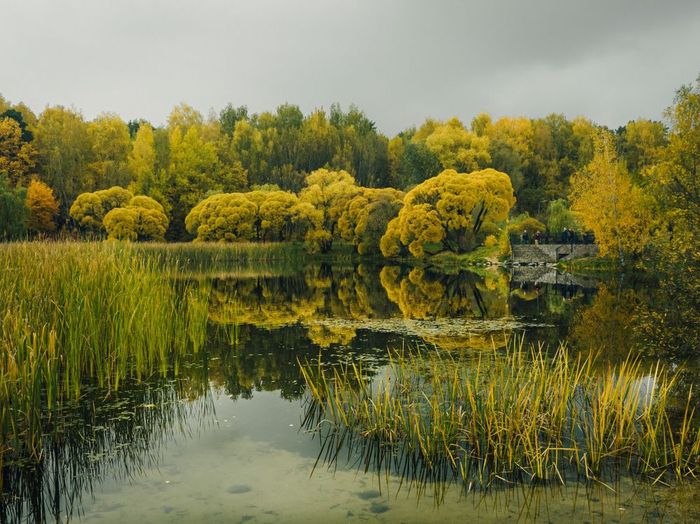 Фотография автора Андрей Жуков