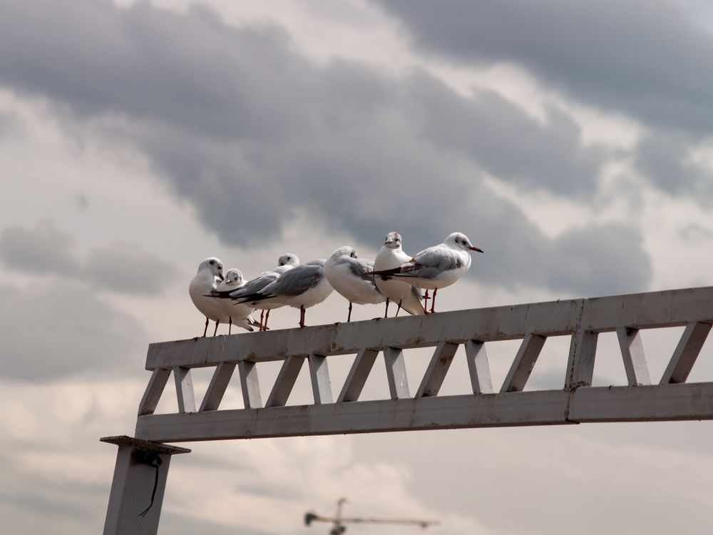 Photograph by Abdolreza Aleagha