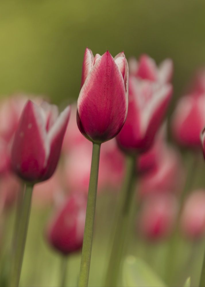 Photograph by Валентина Куренкова