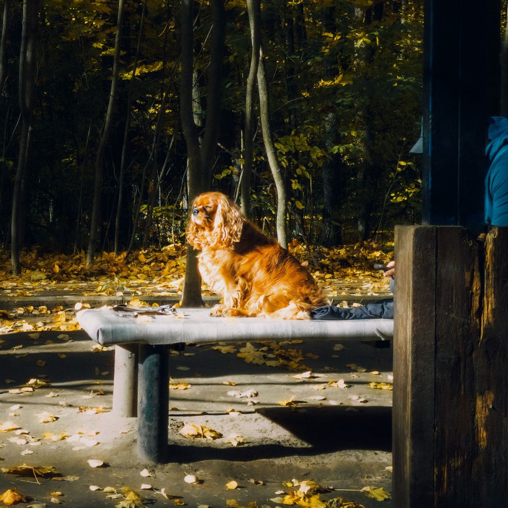 Photograph by Андрей Жуков