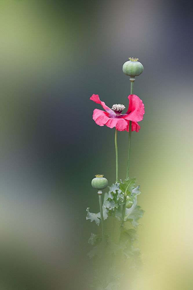 Photograph by Мила Миронова