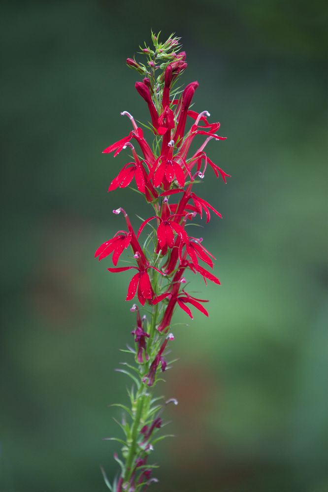 Photograph by Мила Миронова