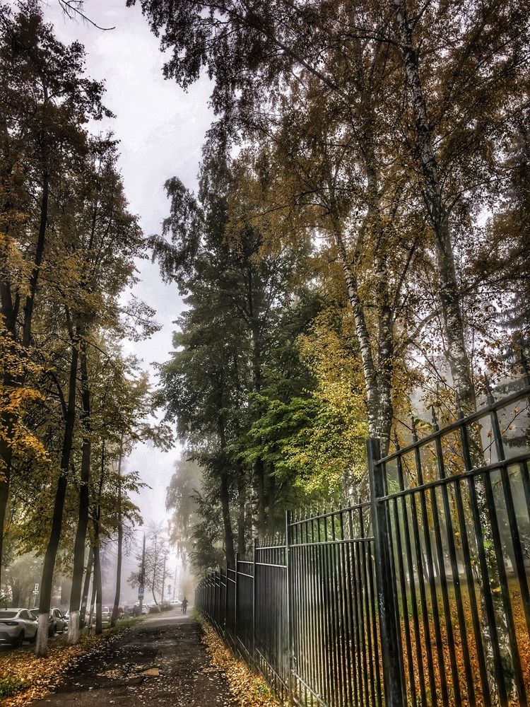 Photograph by Тимохина Анастасия