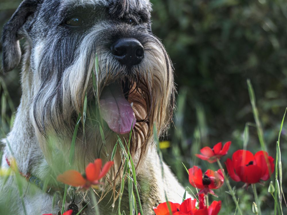 Photograph by Lev Tsenter