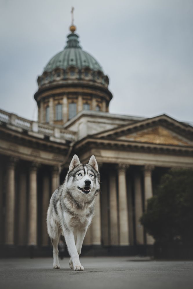Photograph by Беспалова Полина