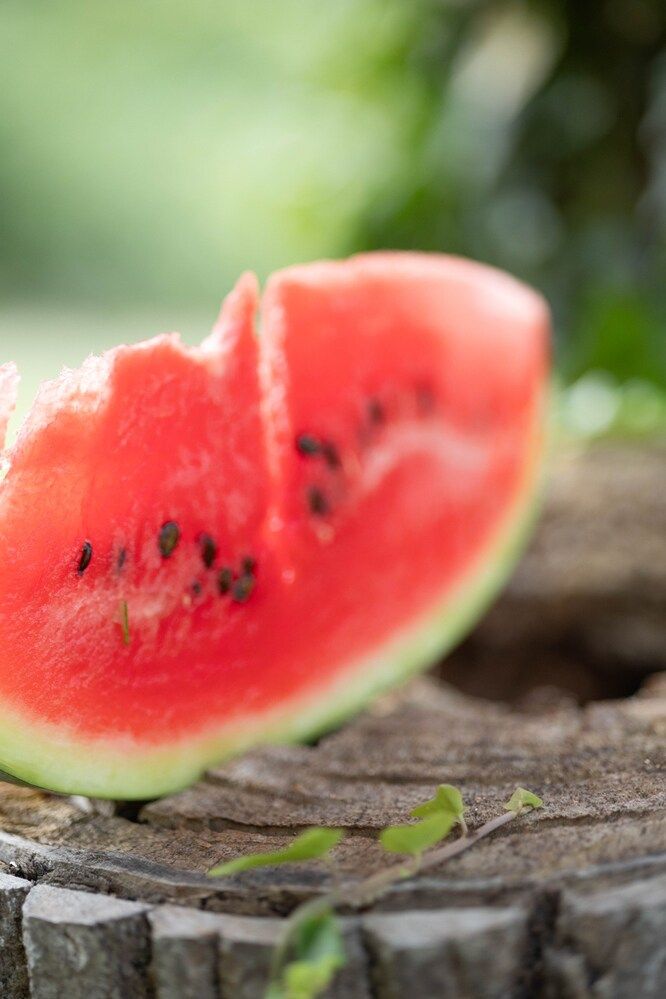 Photograph by Демченко Юлия Владимировна