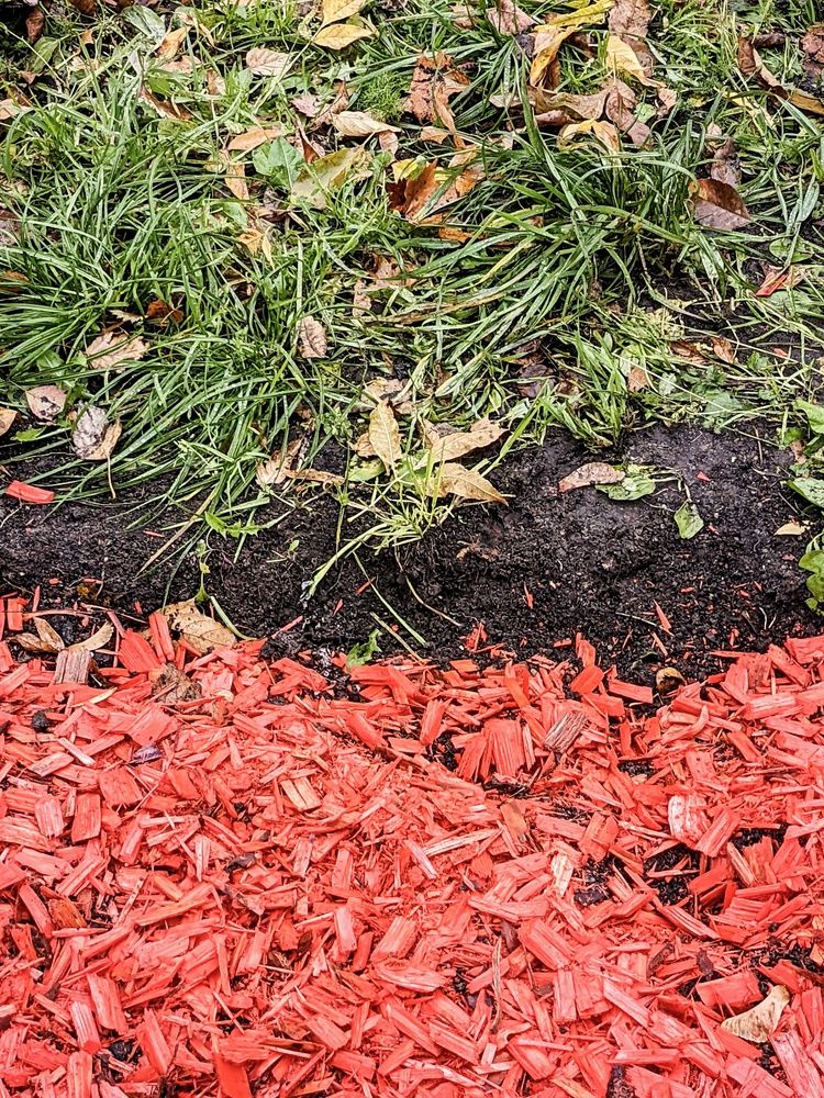 Photograph by Sergey Kurkov-Tarkovsky