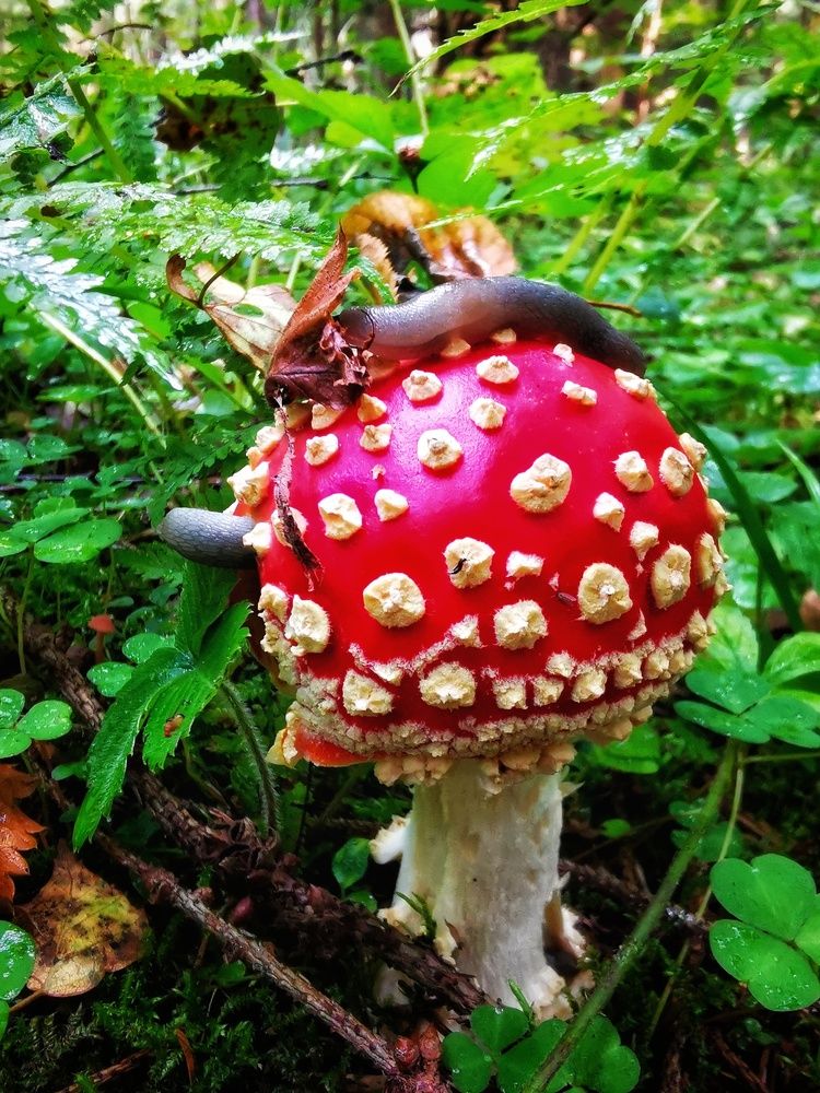 Photograph by Елена Артёменко