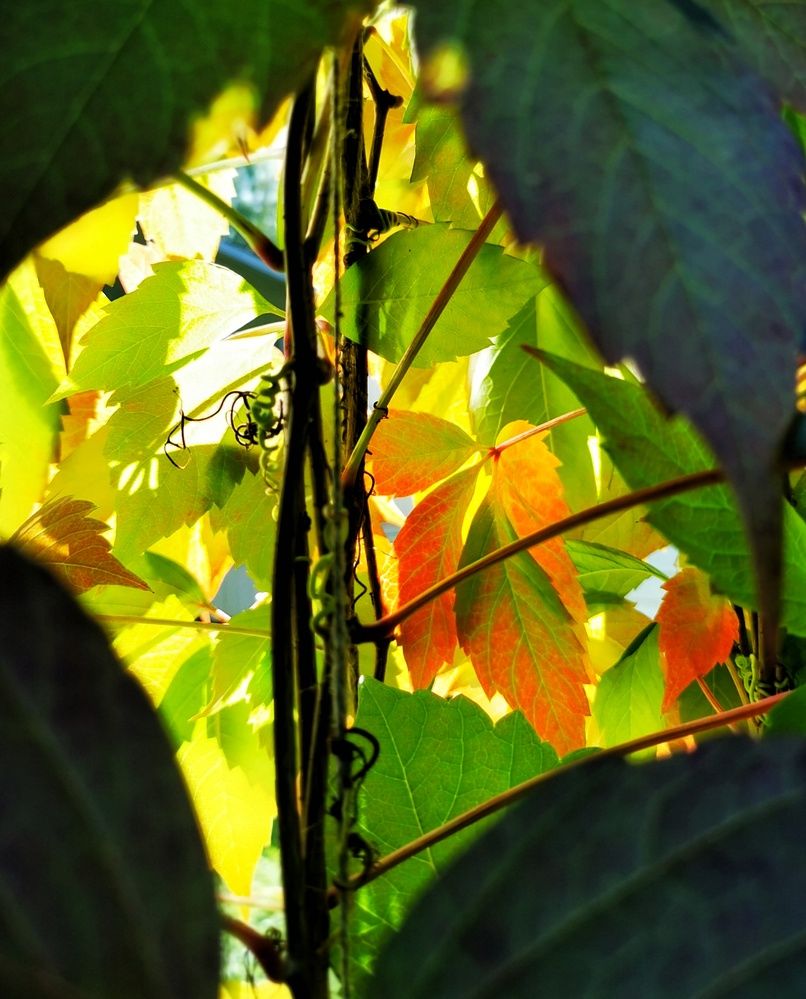 Photograph by Елена Артёменко